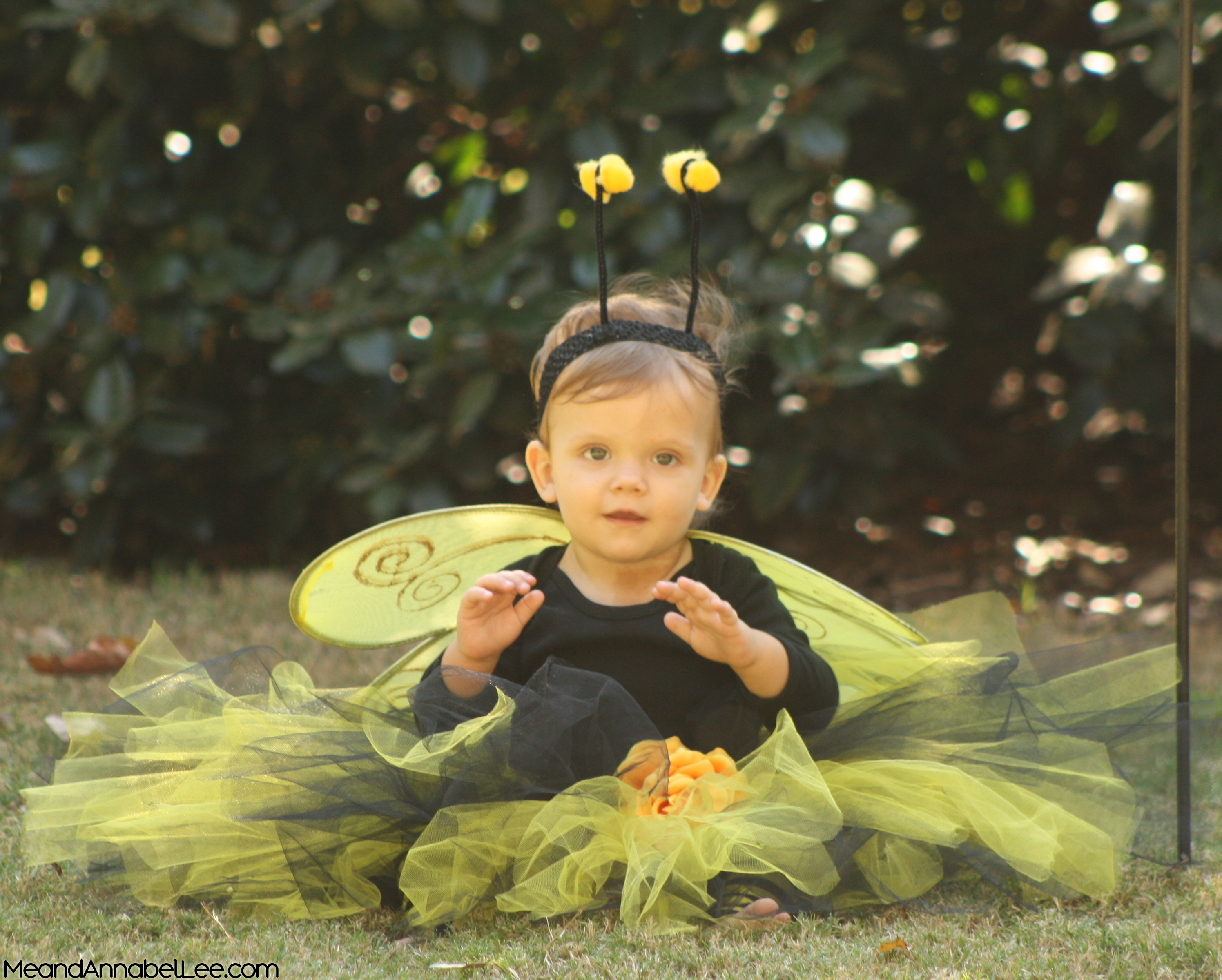 DIY Bumble Bee Costume & Beehive- www.MeandAnnabelLee.com