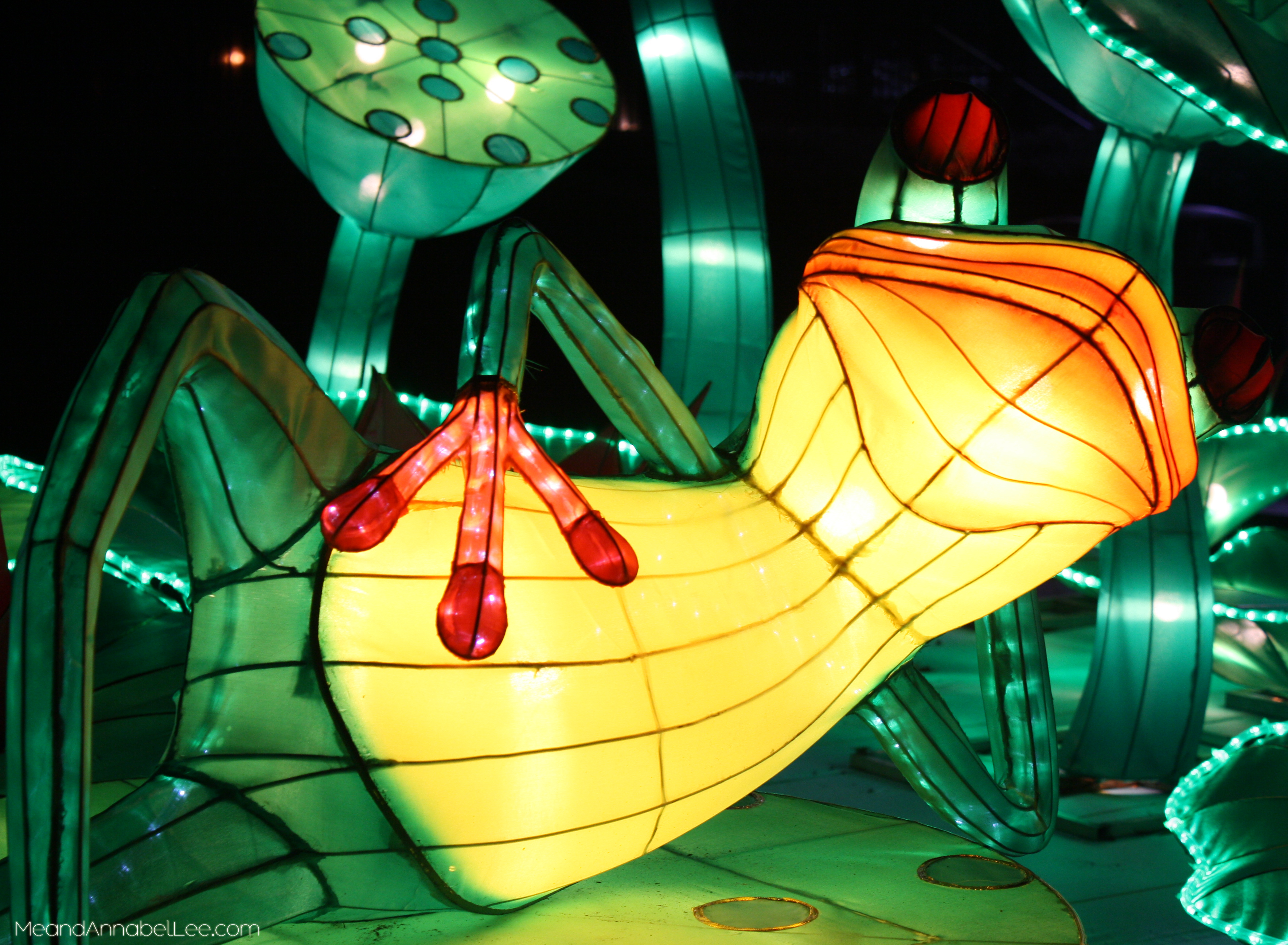 Things to do in Atlanta - Atlanta Chinese Lantern Festival - Downtown Atlanta - www.MeandAnnabelLee.com