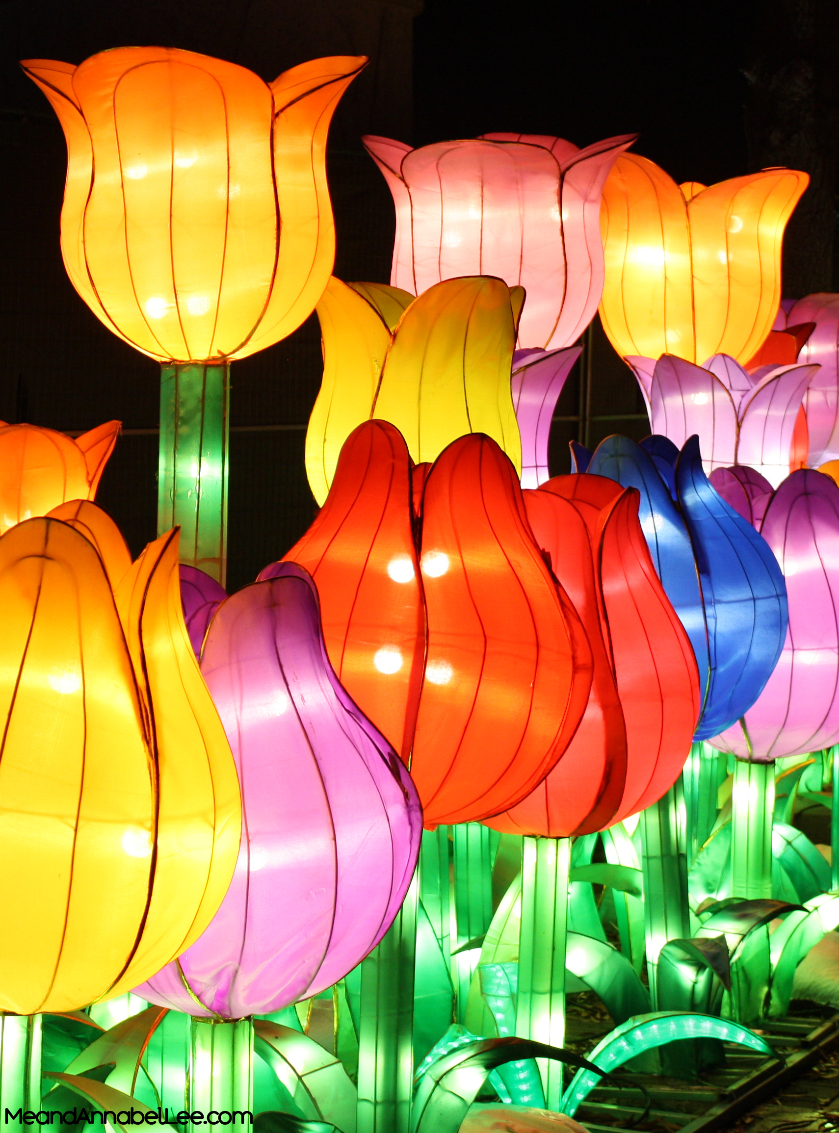 Things to do in Atlanta - Atlanta Chinese Lantern Festival - Downtown Atlanta - www.MeandAnnabelLee.com