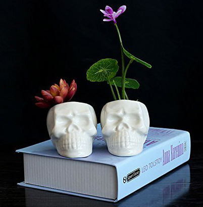 20 Macabre, Twisted, Unusual, Dark, Victorian, & Gothic Stocking Stuffers | Skull Succulent Planters | Christmas Shopping | www.MeandAnnabelLee.com 