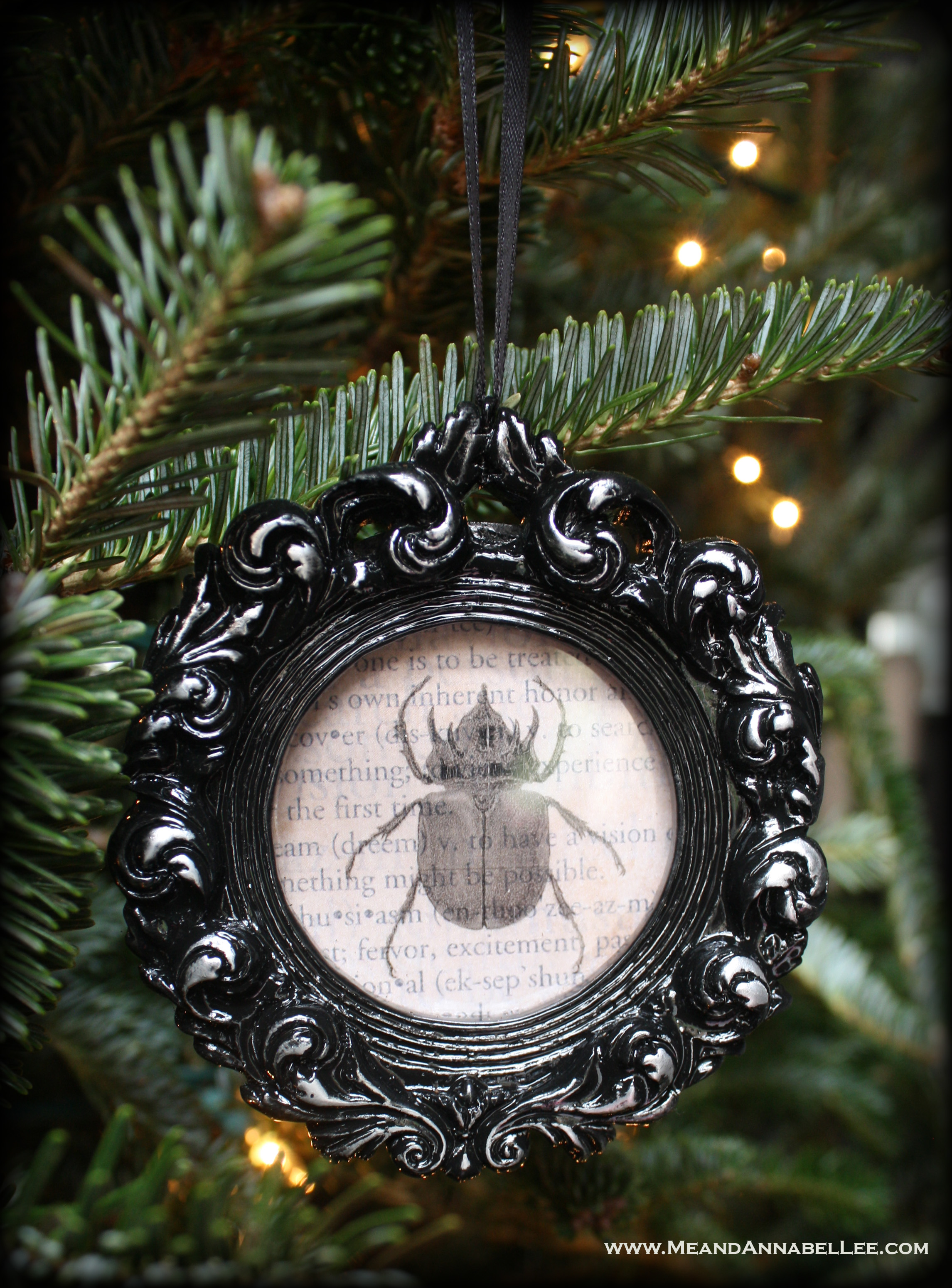 DIY Gothic Christmas Ornaments | Vintage Beetle Specimens | Halloween Everyday | Black Baroque Mini Frames | www.MeandAnnabelLee.com