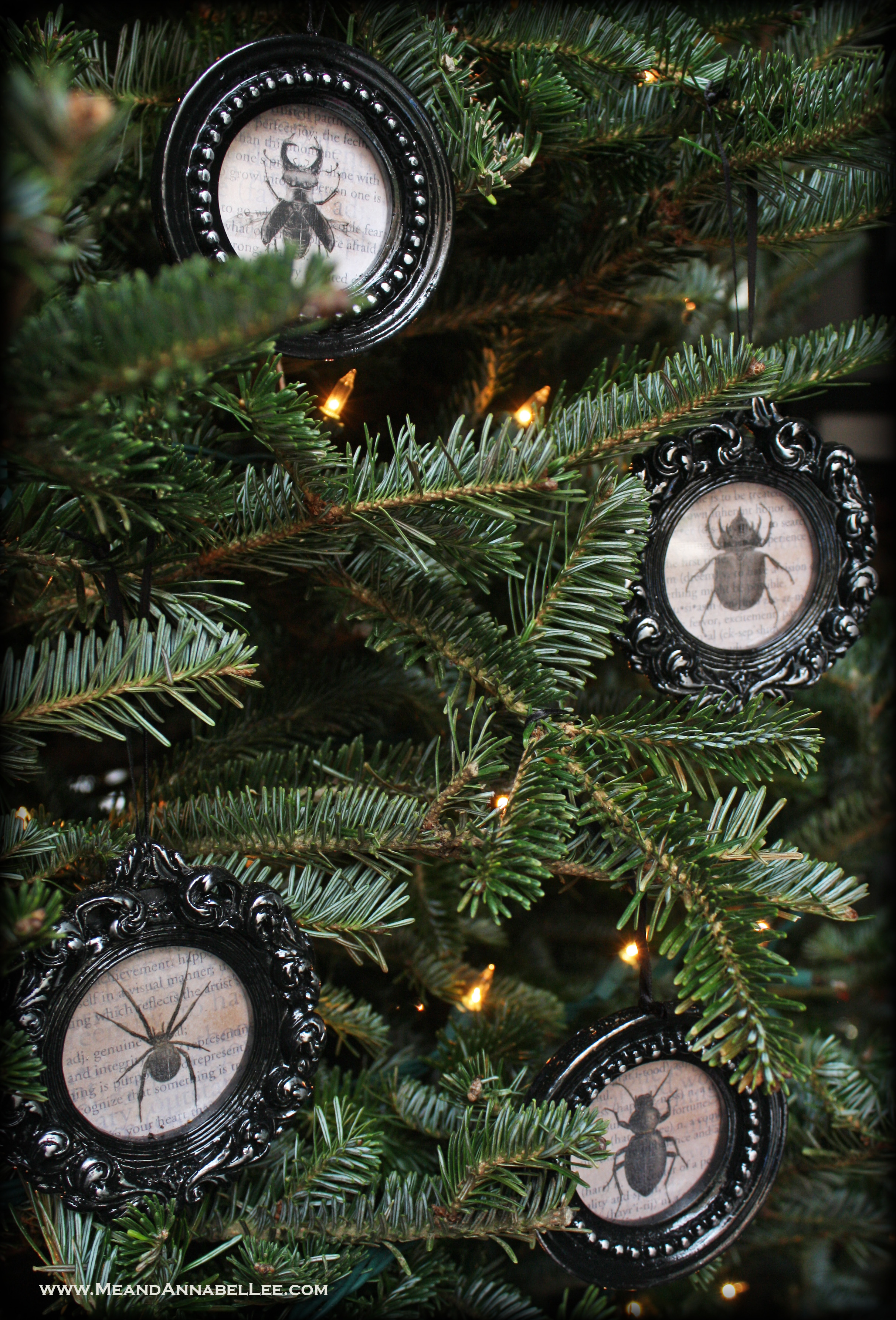 DIY Gothic Christmas Ornaments | Vintage Insect Specimens | Halloween Everyday | Black Hexmas | www.MeandAnnabelLee.com