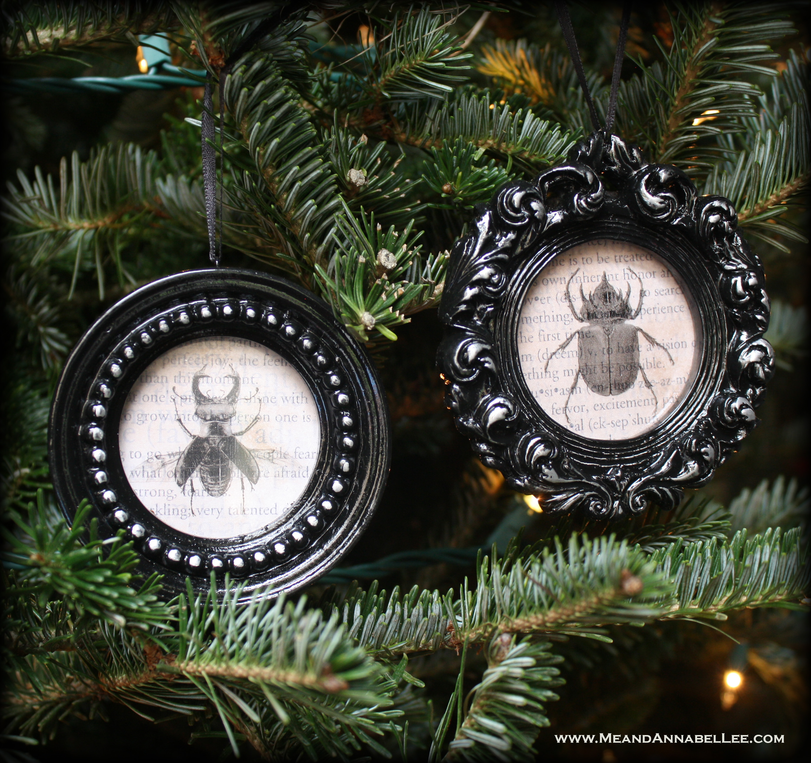 Christmas Entomology