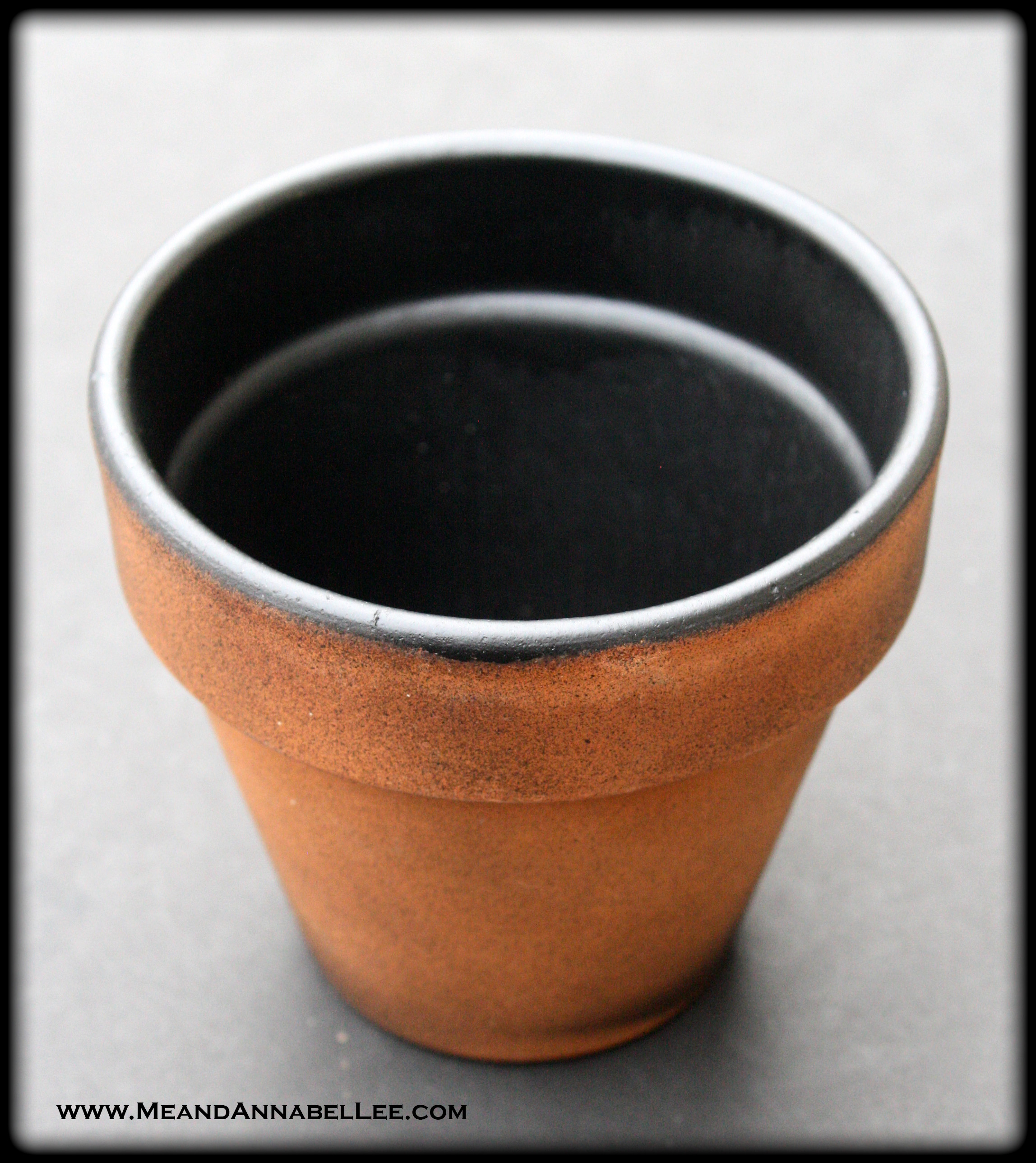 Want a waterproof pot? Watch before using Mod Podge on terracotta pots 