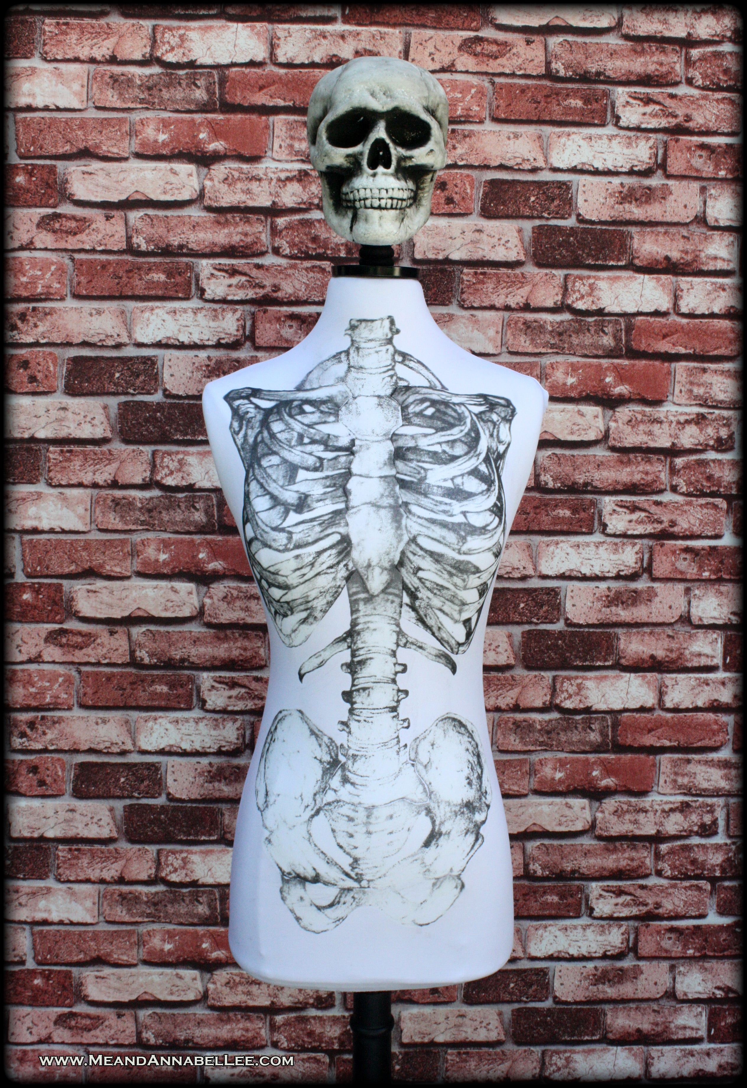 DIY Skeleton Dress Form / Display Mannequin | Ribcage Iron on Transfer | Removable Skeletal Slip Cover | Gothic DIY |Skull Love | Halloween Prop | www.MeandAnnabelLee.com