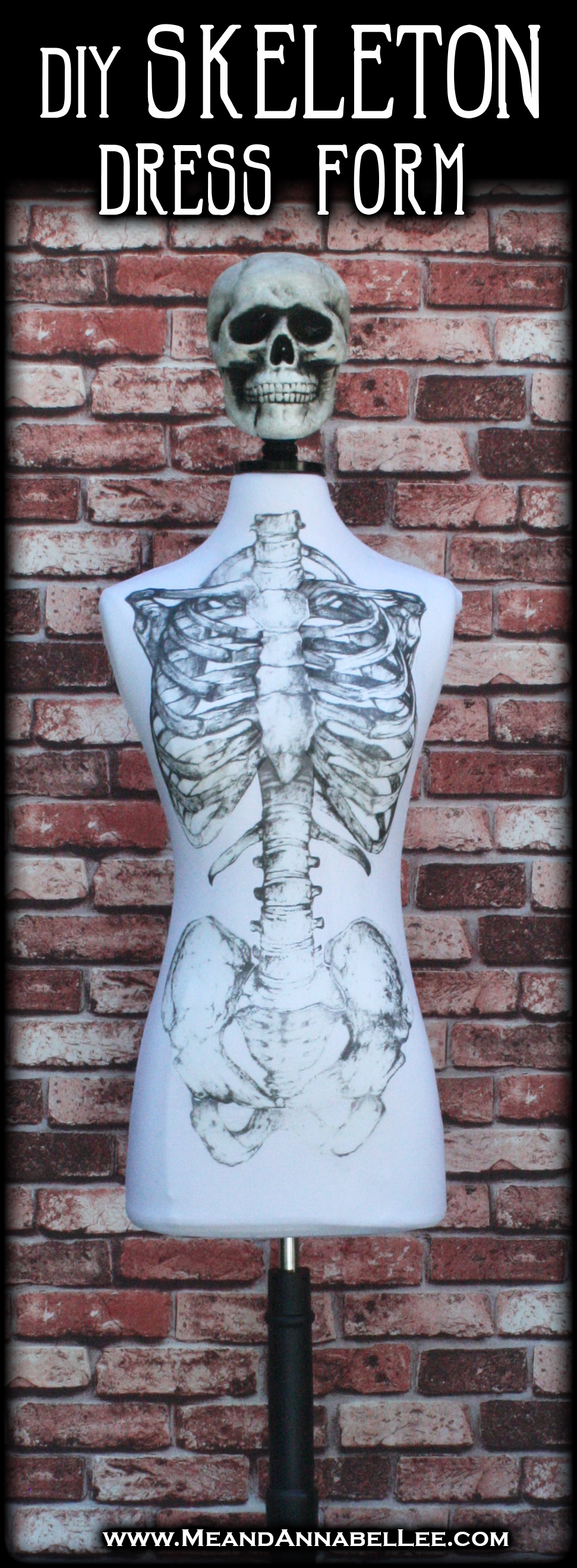 DIY Skeleton Dress Form Display Mannequin | Ribcage Iron on Transfer | Removable Skeletal Slip Cover | Gothic DIY | Halloween Prop |Goth it Yourself | www.MeandAnnabelLee.com