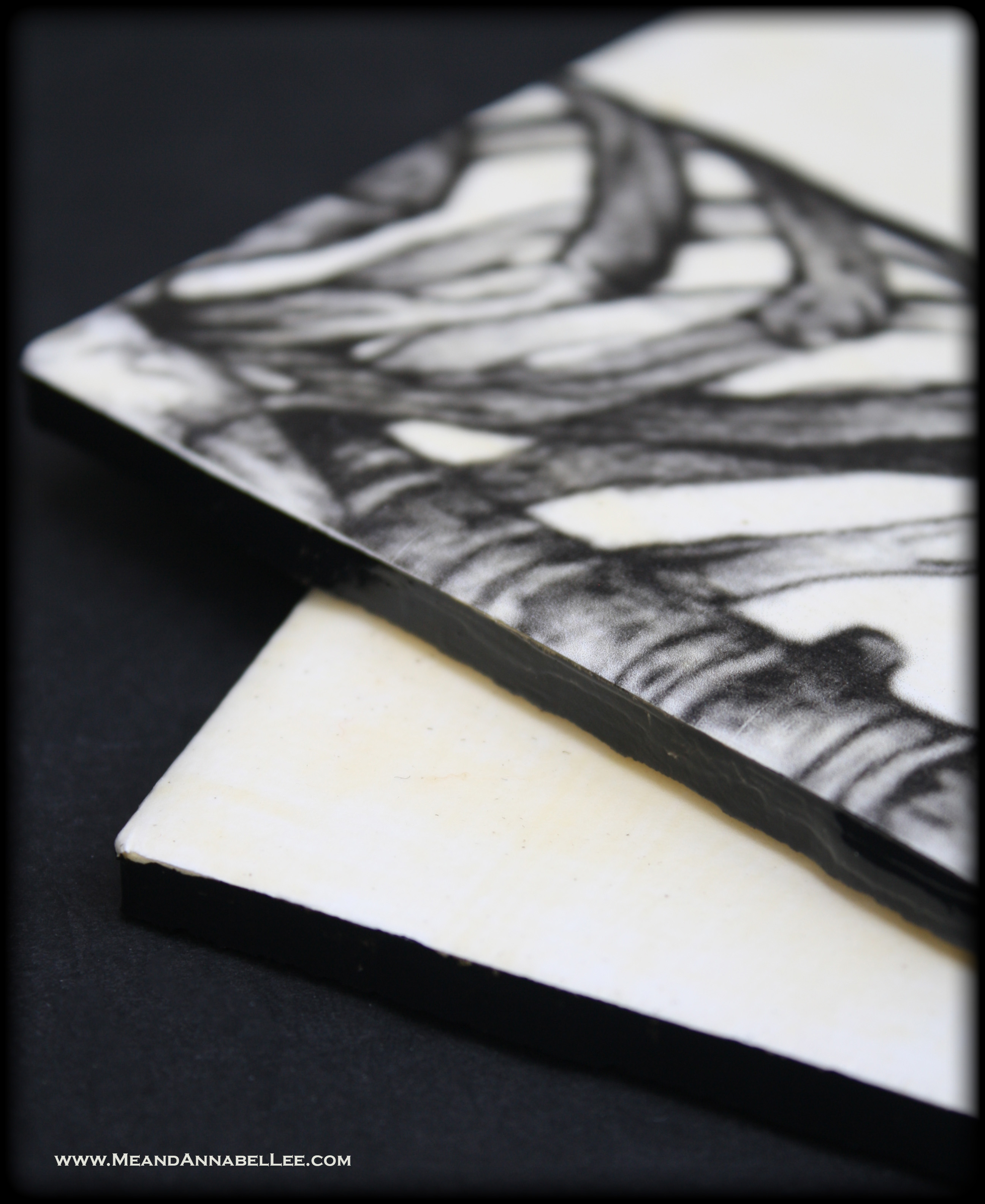 White Ceramic Tile Crafts | Anatomical Skeletal Torso Image Transfer Drink Coasters | www.MeandAnnabelLee.com 