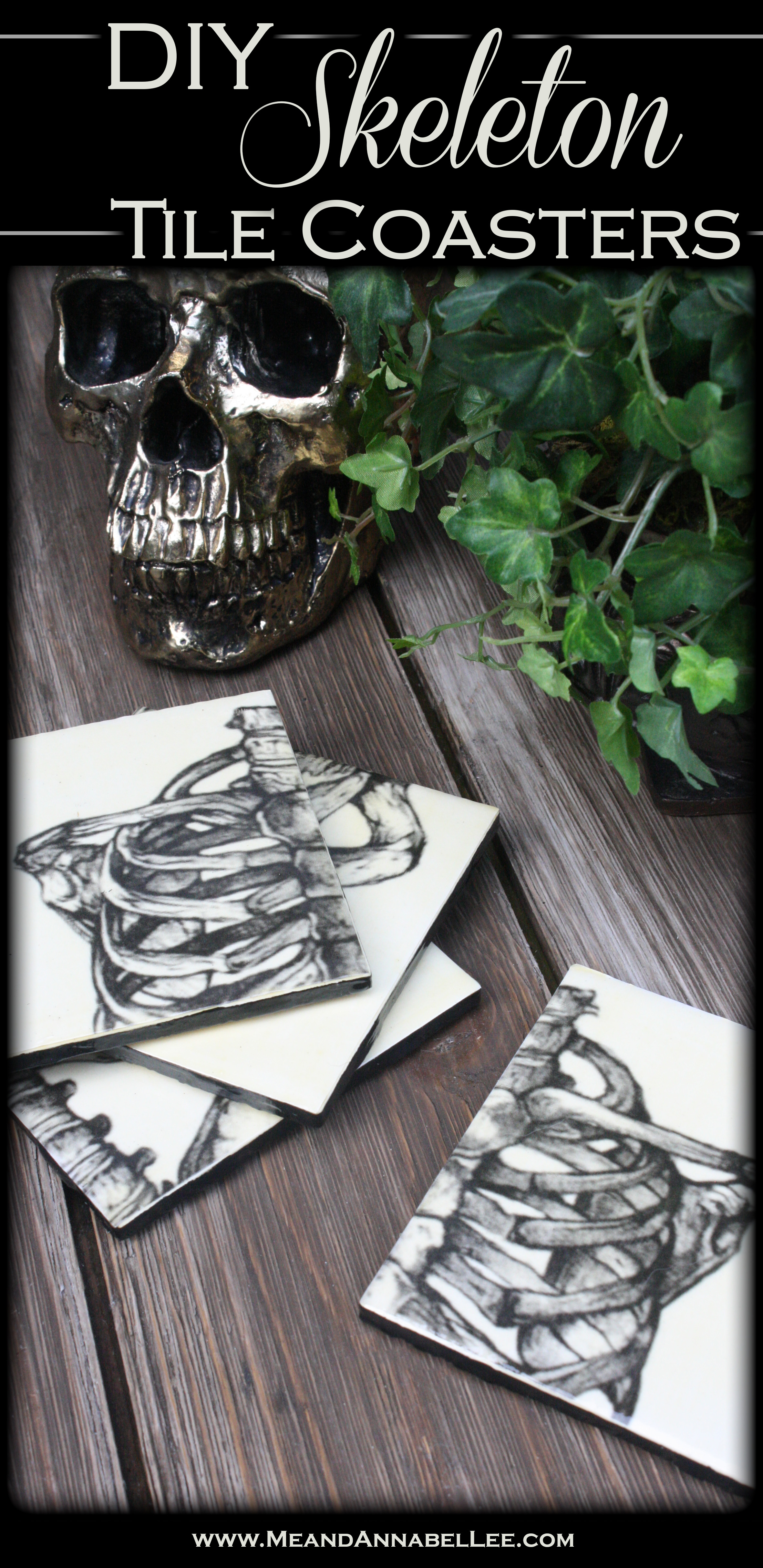 How to transform White 4 x 4 Wall Tiles into Gothic DIY Skeleton Drink Coasters | Ribcage Anatomy Image Transfer | Goth It Yourself | Antique Mod Podge | www.MeandAnnabelLee.com