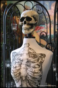 DIY Skeleton Dress Form / Display Mannequin | Image Transfer Method | TAP | Goth it Yourself | Halloween Prop | www.MeandAnnabelLee.com