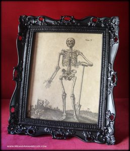 DIY Gothic Skeleton Framed Magnet Board | Black Baroque Frame | Vintage Skeleton Art Image Transfer | Goth Home Décor | How to upcycle a Tin Sign | Office organization | Skull Magnets | www.MeandAnnabelLee.com