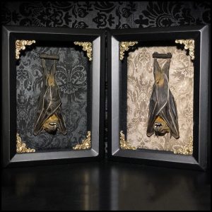 Bat Lover's Shopping & Gift Guide to celebrate Bat Appreciation Day | Custom Taxidermy Bat Shadowbox | Bat Specimens | Gothic Home Decor | Support Small Business | Me and Annabel Lee